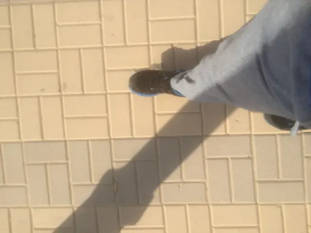 Chaos erupted as Former Minister Scheuer faced legal consequences following the Maut-Debacle...