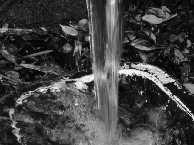 Indian Visa Access Pathway for Swedish and Italian Tourists