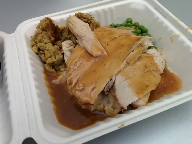 Reflections on Nutrition: Influence of Diet on the Brain Throughout One's Lifespan