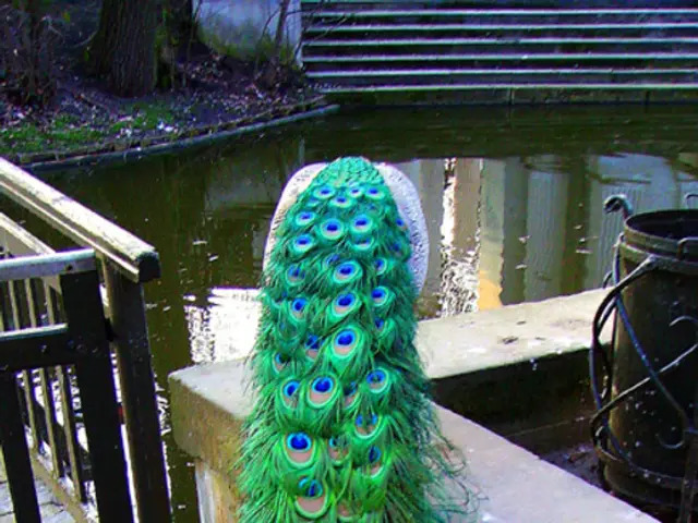 Quantum Computing's Effects on Digital Security