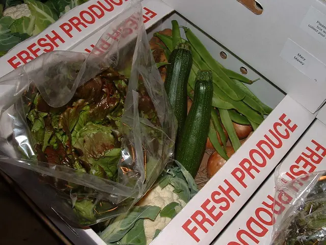 Condensed Crop Choices for Limited Areas: 9 Fruitful Options for Tight Quarters