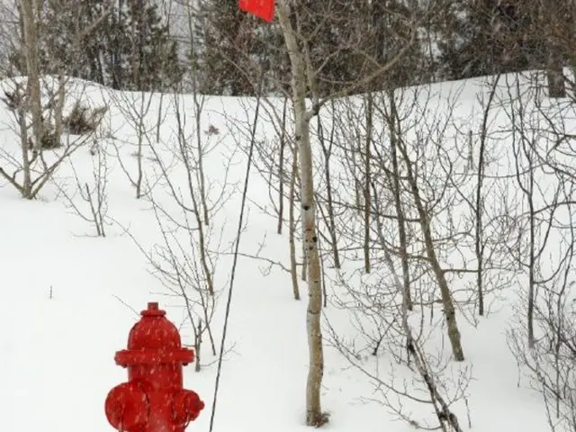 Unproductive Hydrangeas? Uncover the Causes and Methods to Produce Abundant Blossoms