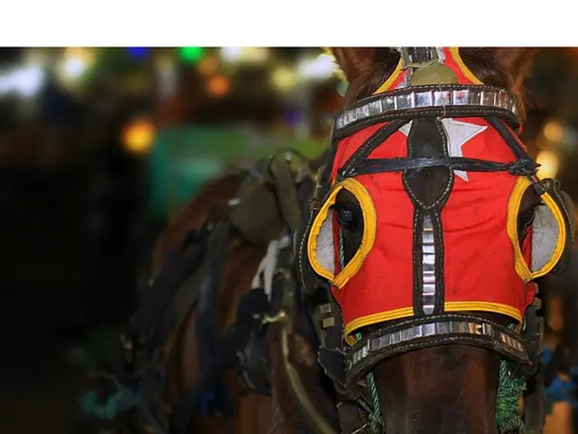 Beverly Hills' Rosewood Residences officially debuts: let's explore the premises together