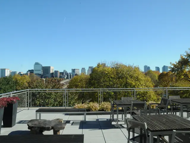 Whimsical and comforting, west Hollywood eatery Somni truly delights diners