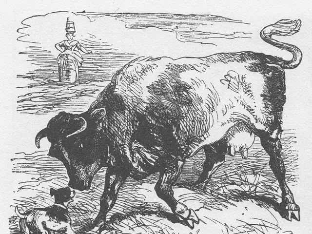 Person admitted to hospital after being reportedly assaulted by aggressive dogs on a Scottish...