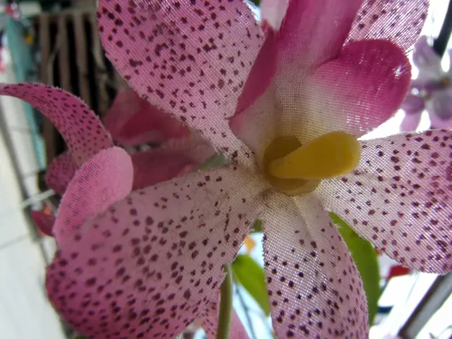 Joanna Gaines' artificial flowers hold the key to effortless autumnal interior design, lending a...