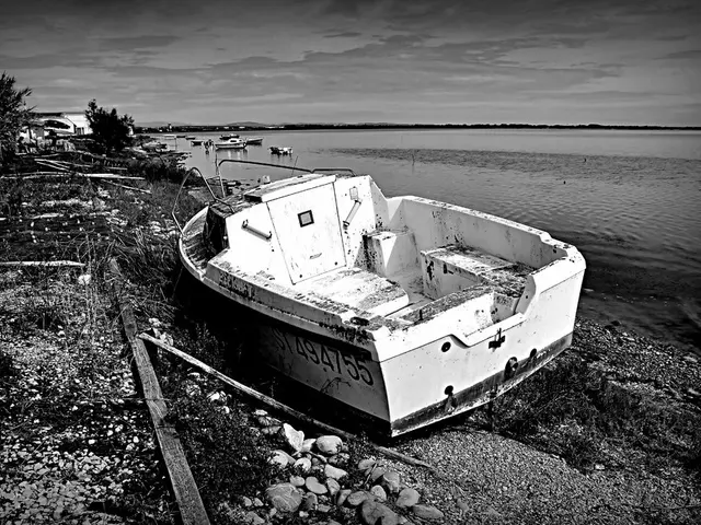 Conflicts arising from excessive tourism in the maritime industry