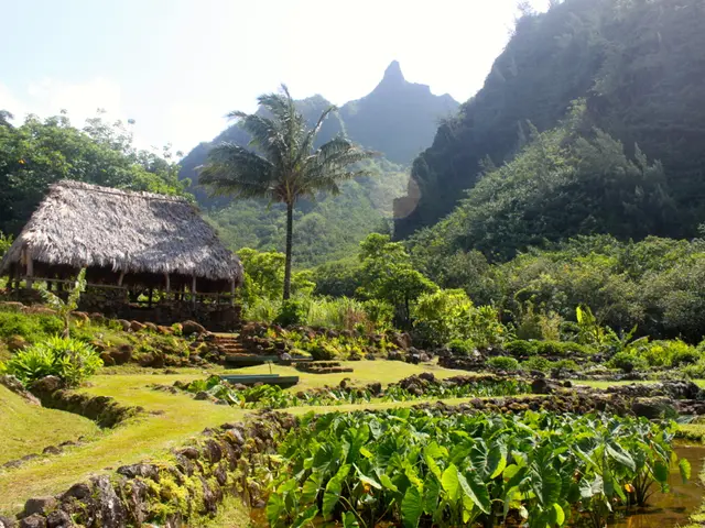 A Slipped Disc, in simple terms, refers to a herniated intervertebral disc - a problem that occurs...