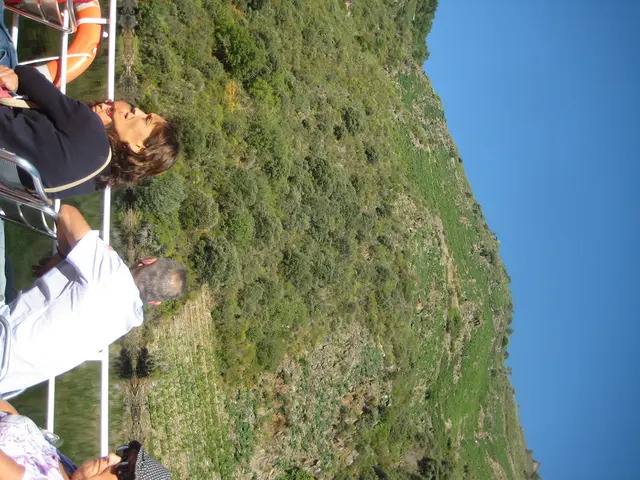 Recognition Bestowed Upon Edgar Reitz at Ludwigshafen Film Festival Through Honorary Award