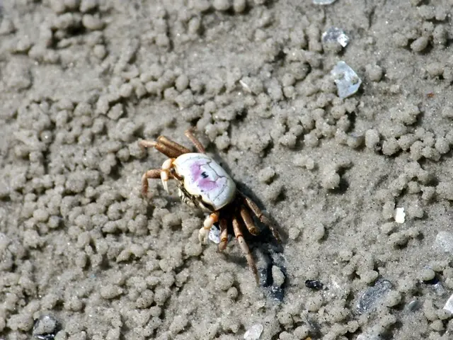 Motorcyclist fatally plunges 21 meters from DASH overpass near Shah Alam, aged 19