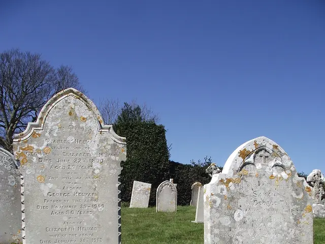 Twins meet tragic end following cemetery mishap
