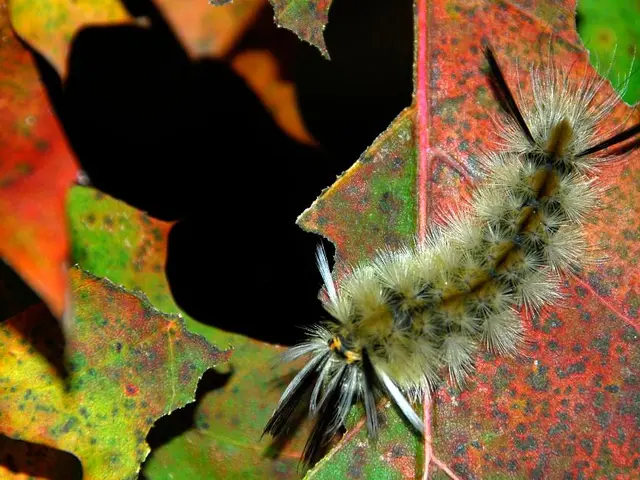 Will the shift in leadership signal a fresh start for the bureaucrats of Delhi? (Dilip Cherian)