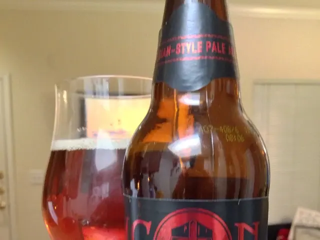 Assessing the Value of the Atmos Ascent Card's Yearly Charge