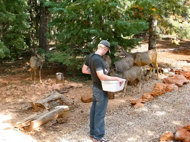 West Bank village encounters massive tree uprooting by Israeli bulldozers