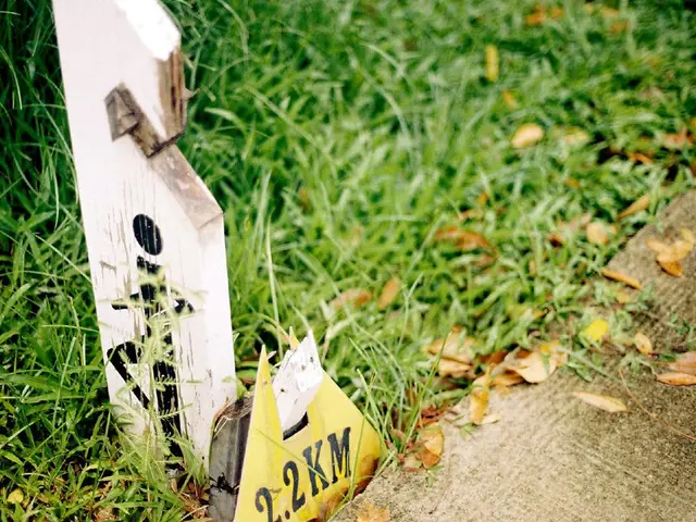 Economic conditions in the area persistently worsen