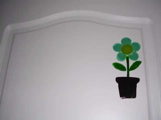 Eighteen imaginative concepts for enhancing plant pots through artistic expression