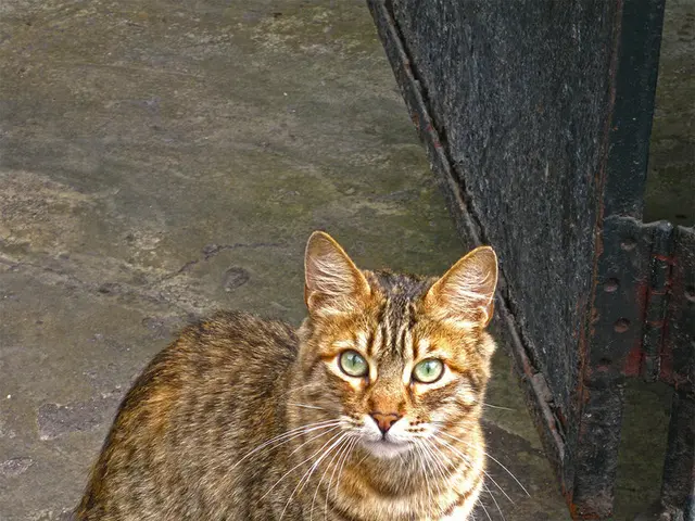 UPSSSC's PET Registration for 2025 is now open on upsssc.gov.in! Get all the details about...