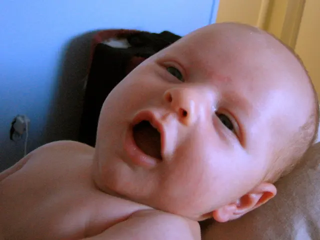 Newborn baby discovered in Gravenbruch; mother arrested