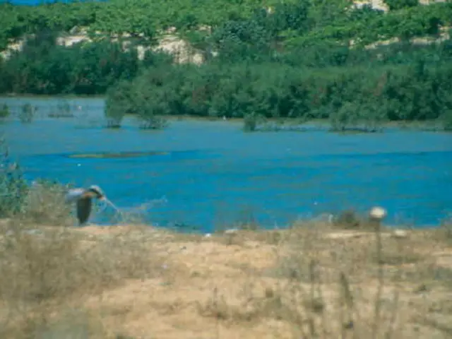 Mastering 7 Practical Survival Techniques in Biology Studies that Enhance Real-Life Skillsets