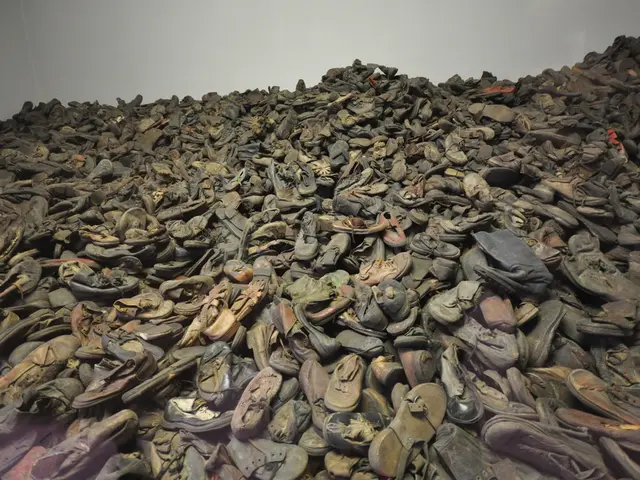 Shoe Distribution Initiative on a Global Scale: World Shoe Fund