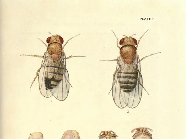 Planetary Consequences Arising from Shrinking Insect Communities