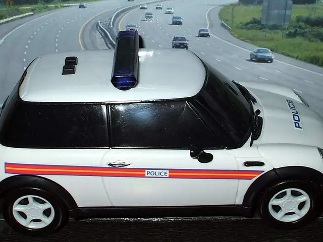 Law enforcement officials in Poland undertake duties and maintain order