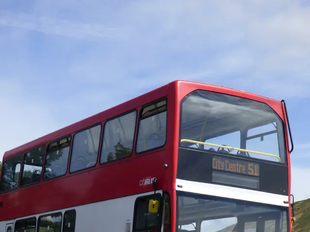 Advocates for socialism push for enhanced bus transportation to the urban hospital
