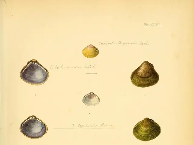 Pioneering coating extends longevity and boosts storage capacity in lithium batteries