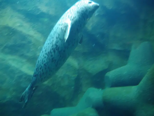 Oceanic Jaws Ascend: The Deep-Sea Oxygen Boost 390 Million Years Ago Transformed Marine Life