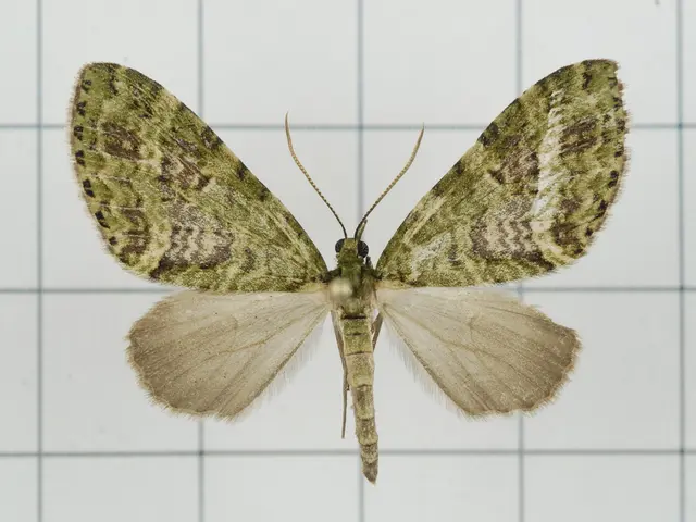 Spiraling TikTok Anxiety Shifts from Weekends to August, Coined as 'August Scaries'