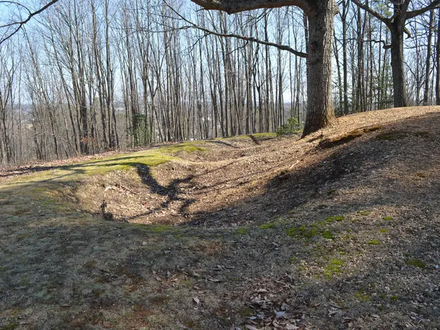 Urban Gardening Tip: Streamlined Methods for Creating Organic Fertilizer at Home