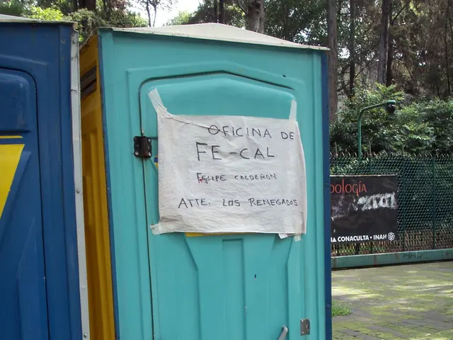 Exploring 25 Square Feet: Illustrating Spatial Context and Practical Uses