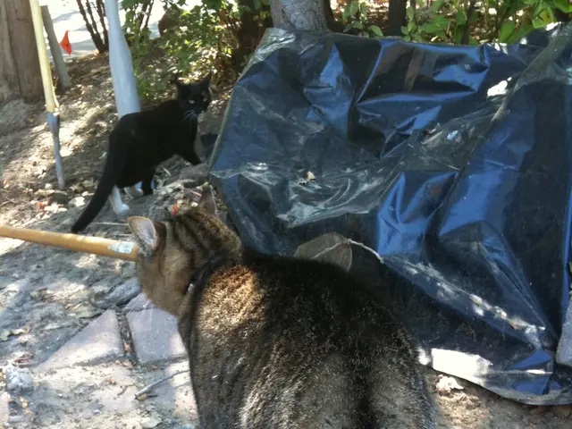 Discover New Zealand's Natural Wonders on the Scenic Heritage Trail, where you can venture through...