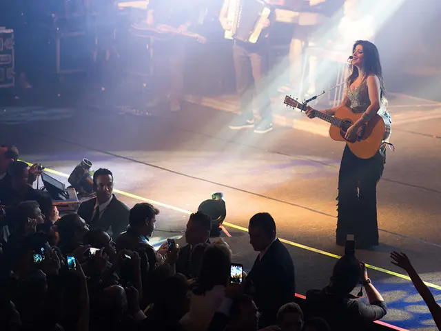 Granting authorizations for movies and television shows