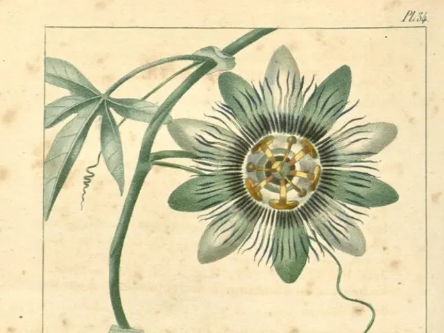 Genetic Material Extraction