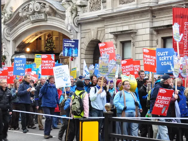 Retailers Introduce Christmas-Themed Cakes in August