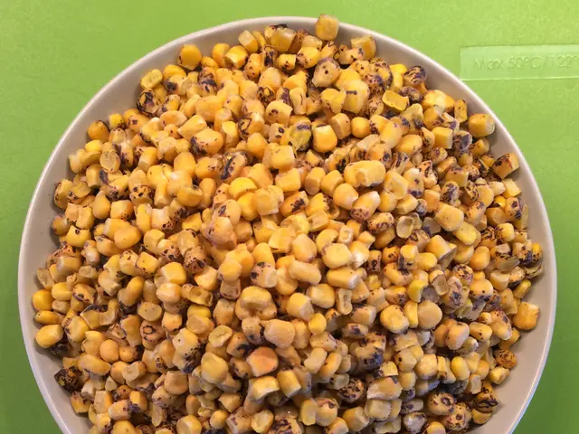 Ranking of the Major African Corn Producers in 2025