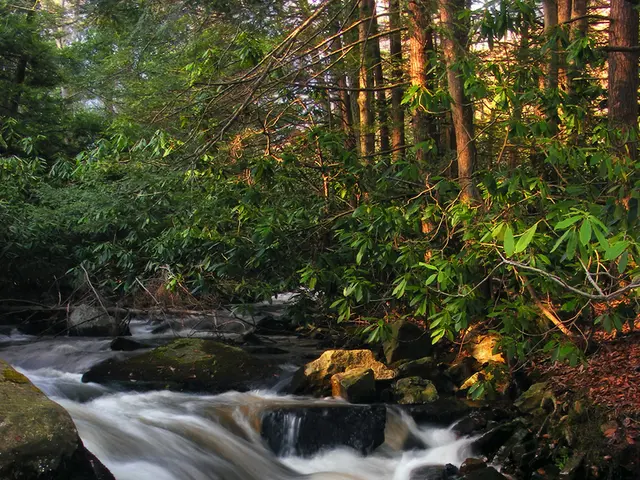 Correspondence on the Peaceful and Authentic Conduct of Local Government Elections - Suspended...