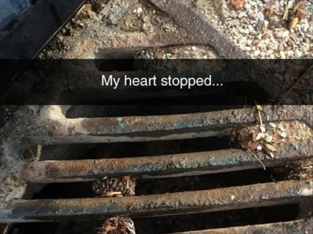 Electrocardiology Specialist Finances Establishment of a Permanent Academic Position