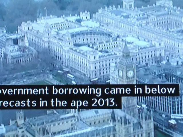 Government sought advice from the Commission on the matter in question.