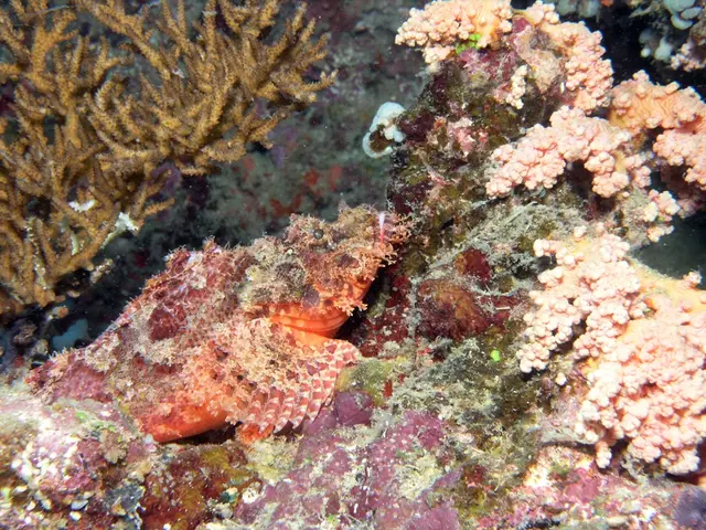 Disappearance of the Sagebrush Steppe
