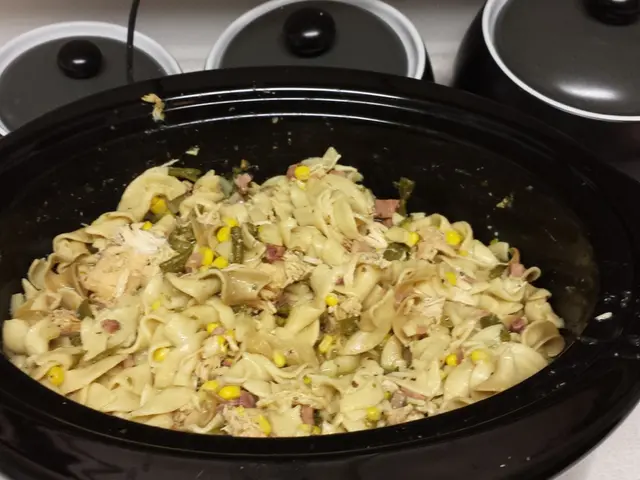 Transferring Your Preferred Slower Cooker Dishes into Pressure Cooker Recipes