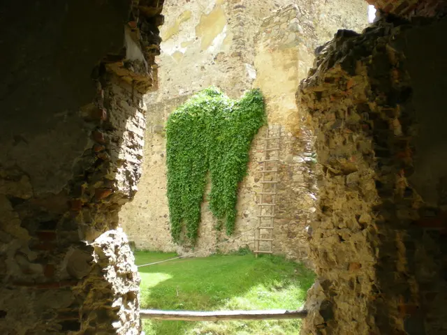 Appeals Court in New South Wales addresses environmental effects in the case between Denman...