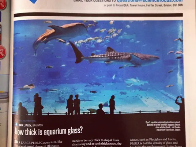 Prospective Owners of the Planet Earth