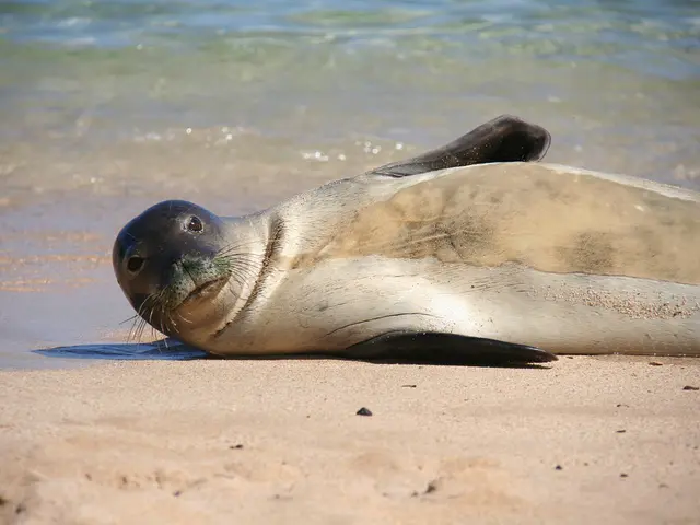 Enjoying a swim during Labour Day weekend might expose you to fecal contamination at beaches along...