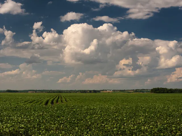 Benefiting from Nature: Top 10 Strategies for Boosting Your Health and Happiness