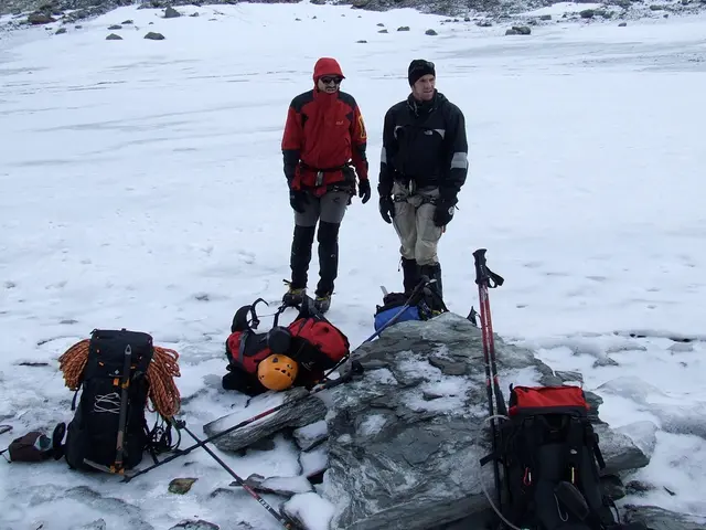 Insurance Stock Comparison: Is Cornerstone or Mansard the More Lucrative Investment Option...