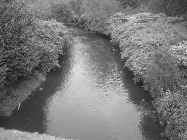 Unveiling the Mystery Surrounding the Strange Wisconsin Tragedy