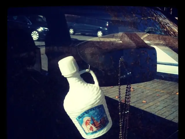 Vehicular Transportation Solution: Dedicated for Regular Use in Automobiles