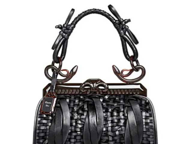 Top-Rated Shoulder and Hobo Bags Available for Purchase on Amazon, Primarily Designed for Female...